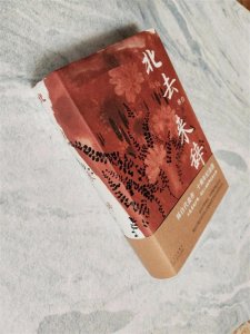 ​通过林白极端化文学理念书写下的人生故事，感受混乱但执着的人生