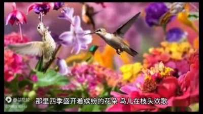 ​民间故事～回音谷的诅咒