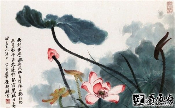 张大千荷花图片