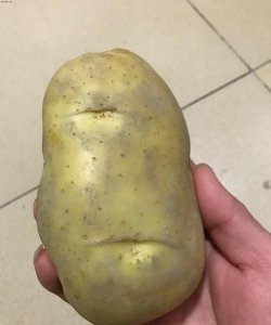 ​生土豆放冰箱还能吃,生土豆放冰箱还能吃吗