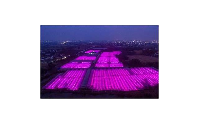 老公被冤枉出轨是什么样的态度